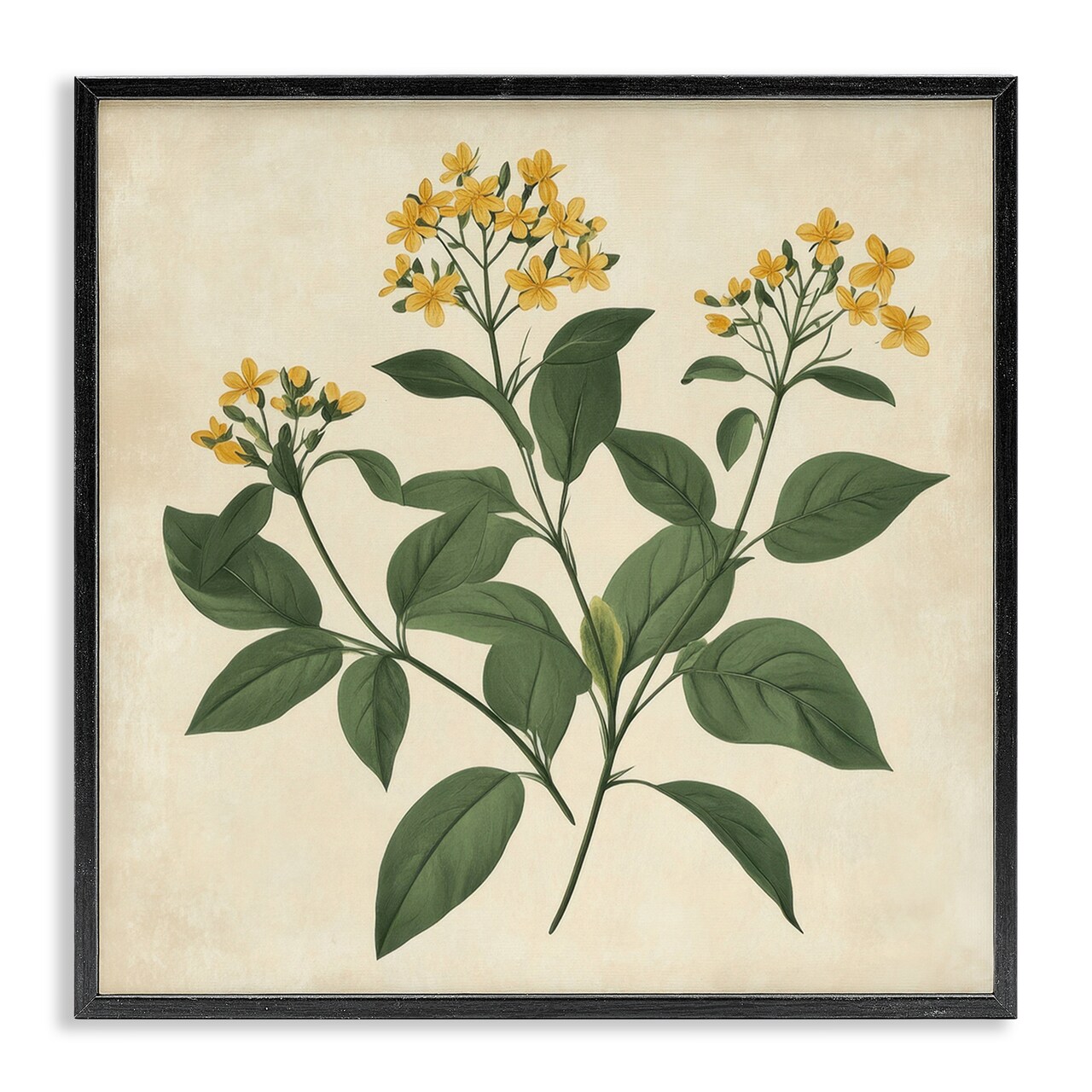 Stupell Industries Yellow Bushels Botanical Illustration Framed Giclee, design by Petal Prints Design